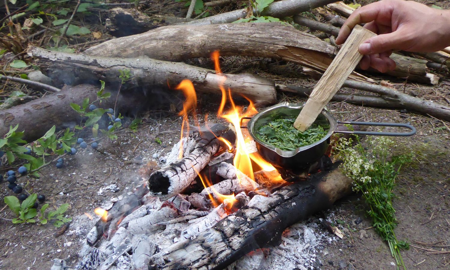 Bushcraft