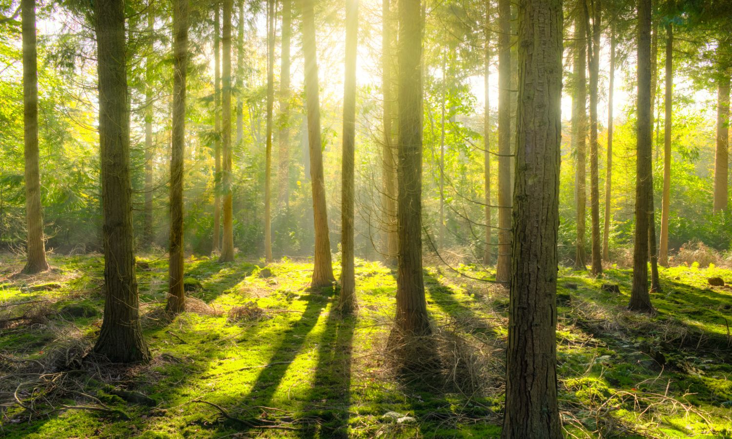 Cambs Open Space 1500 x 900 (18)