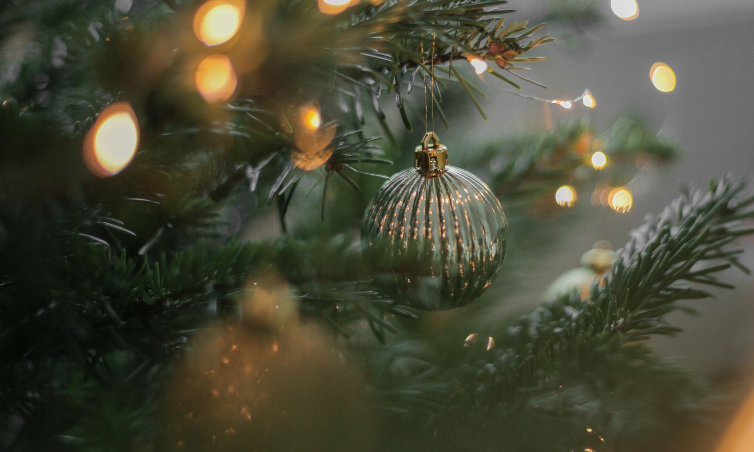 Christmas Lights