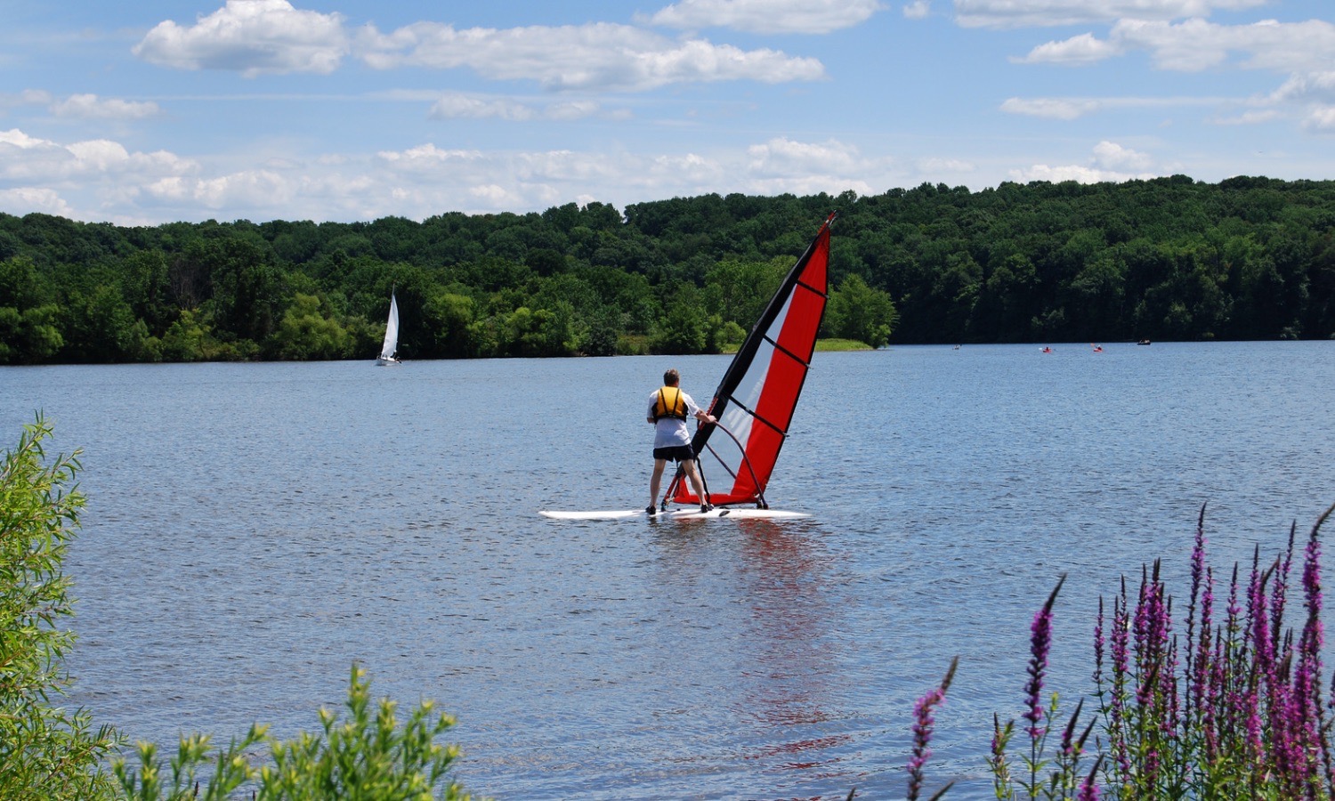 Person sailing a boat