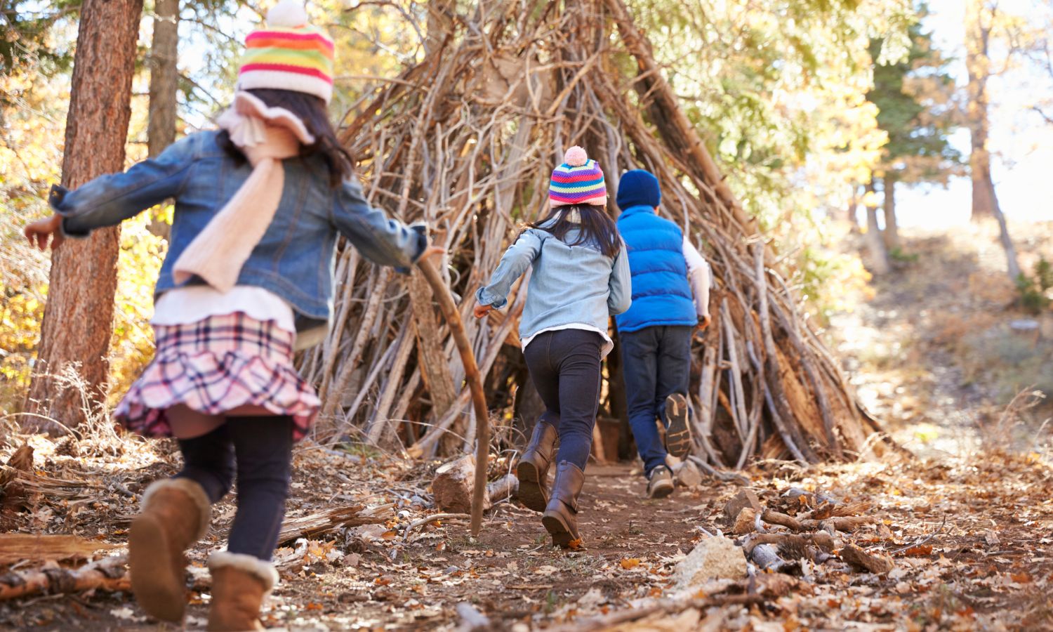 Den Building