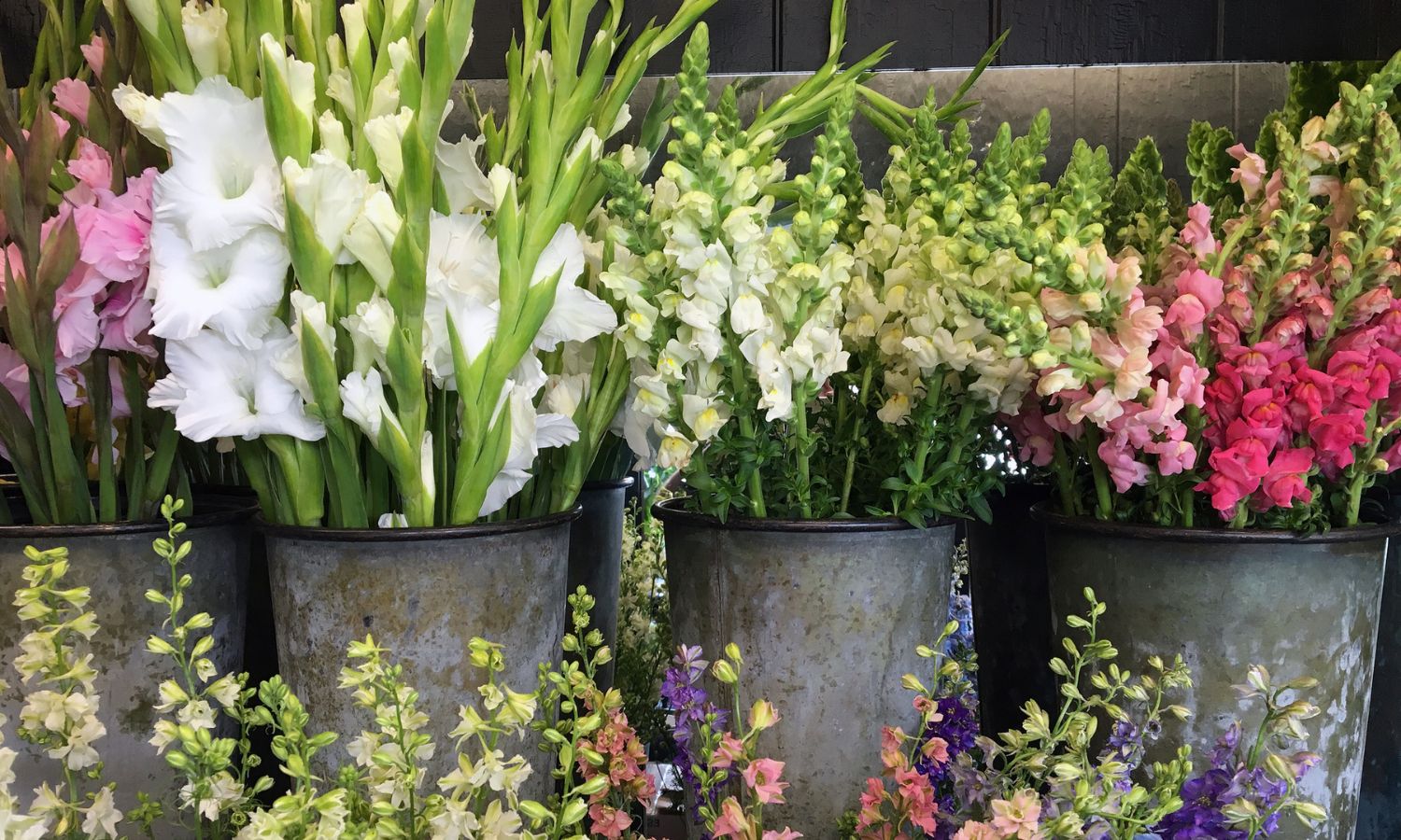 Flower Show
