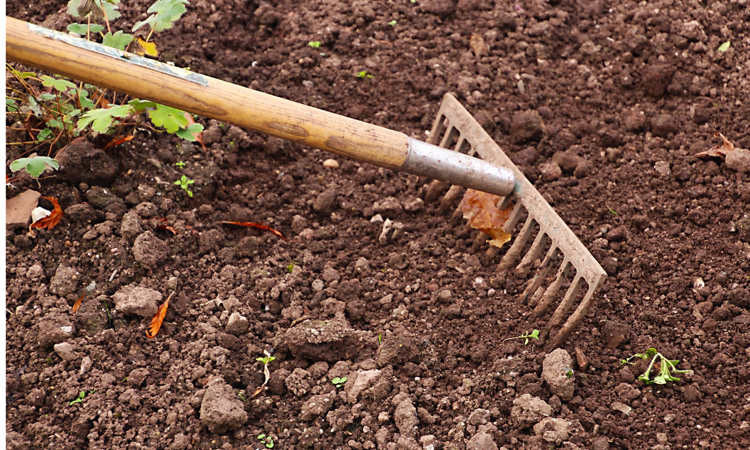 Gardening 2