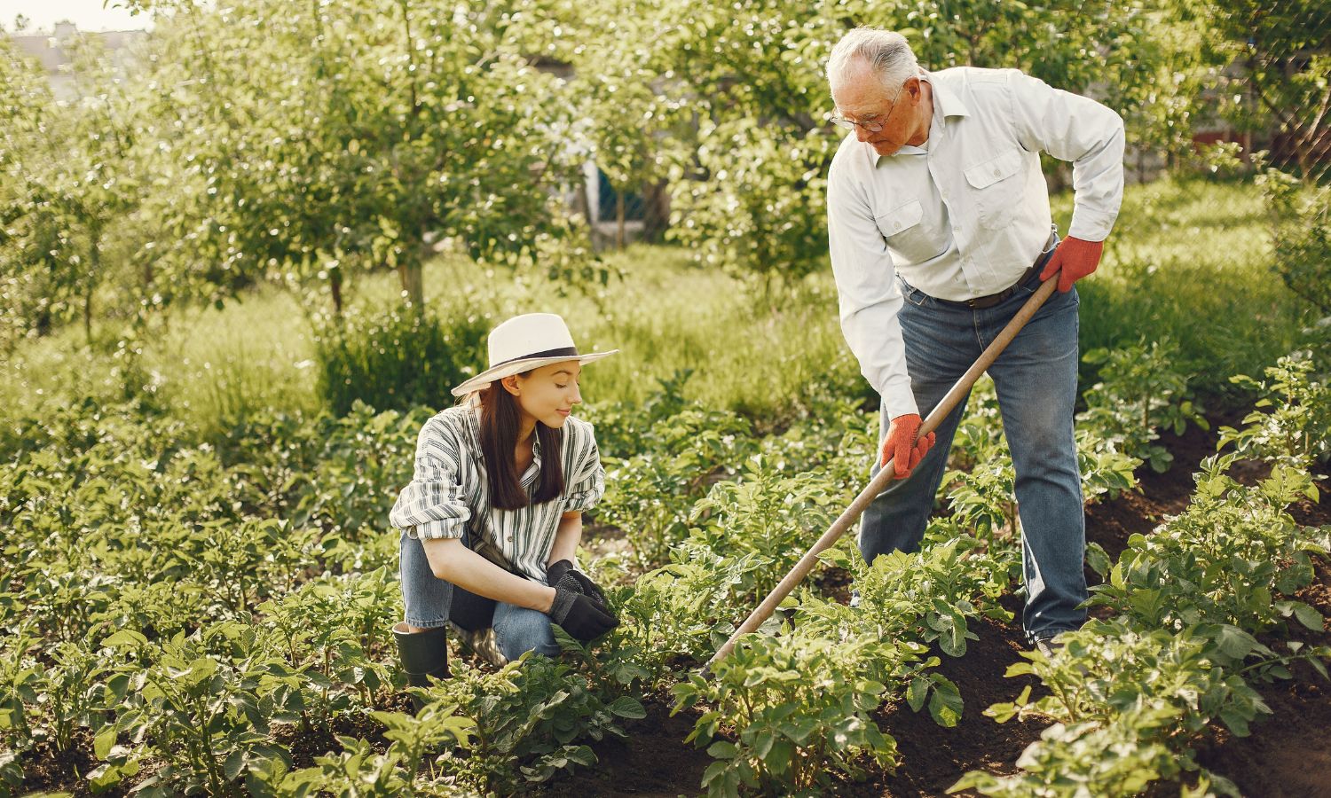 Gardening