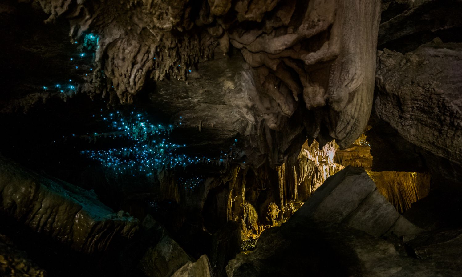 Glow worms