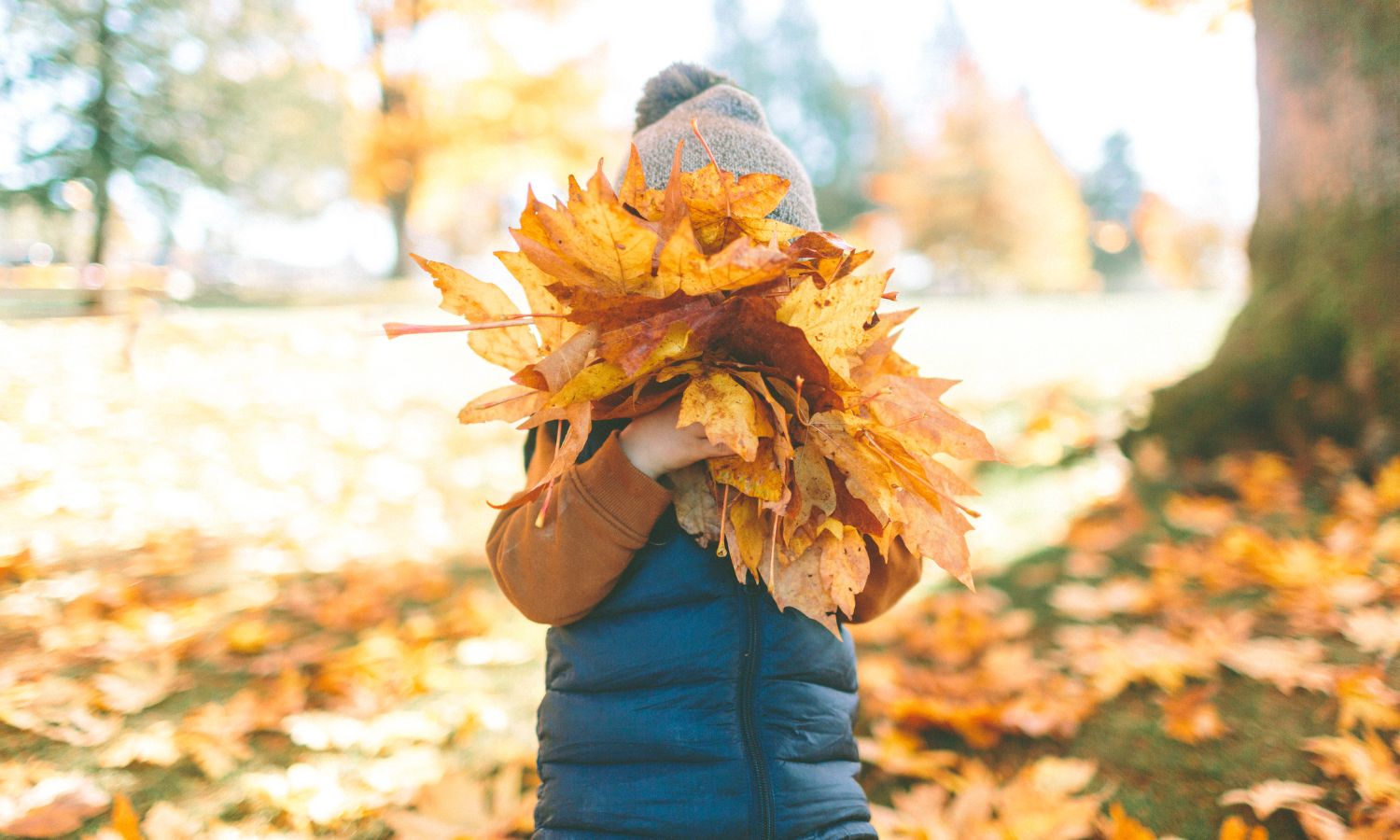 Kid in autumn leaves