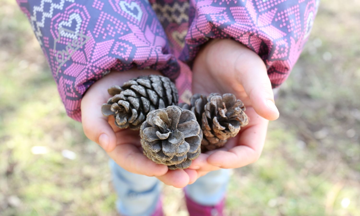 Nature Tots 2