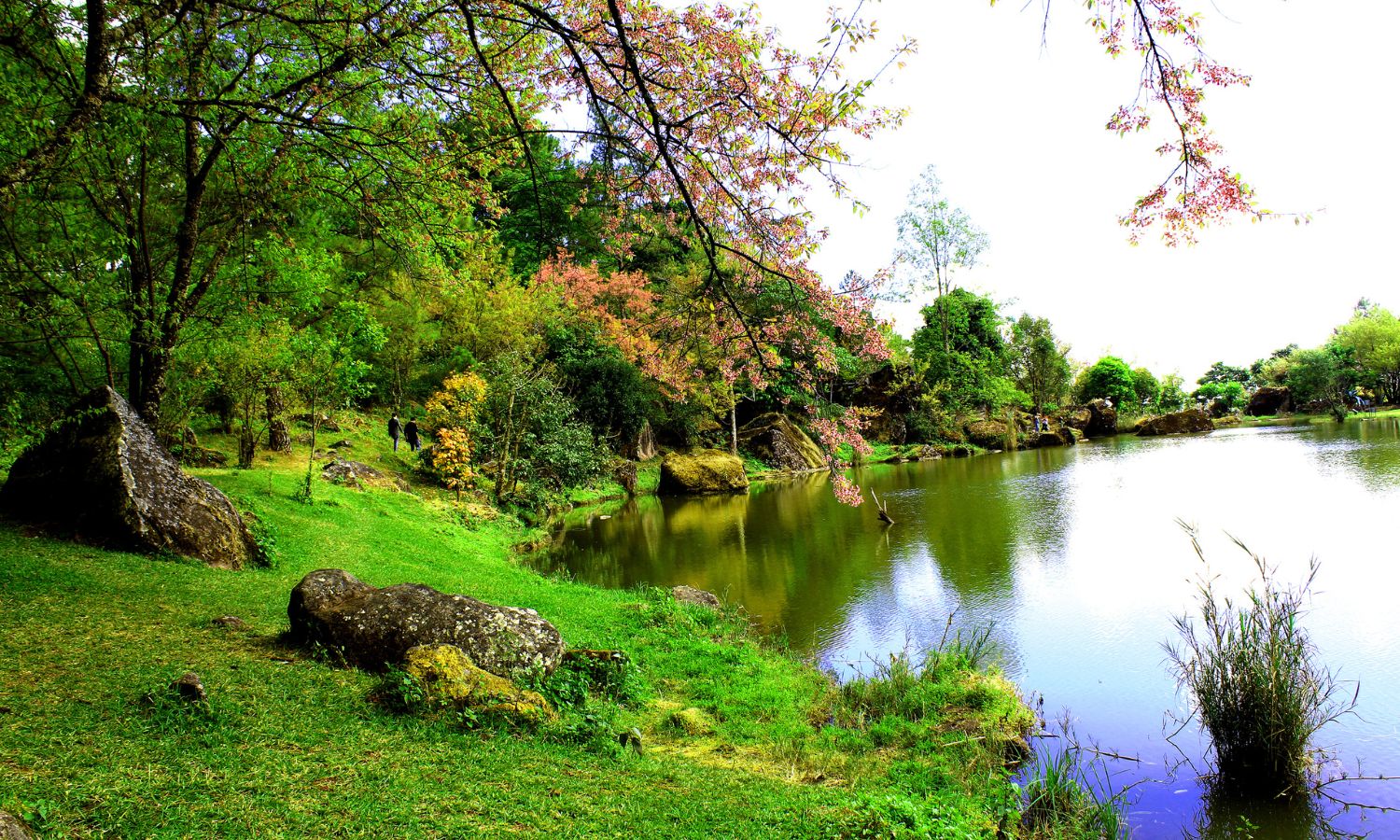 Nature