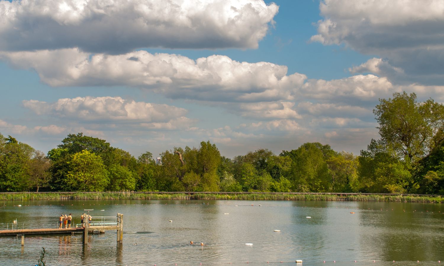Open Water Swimming
