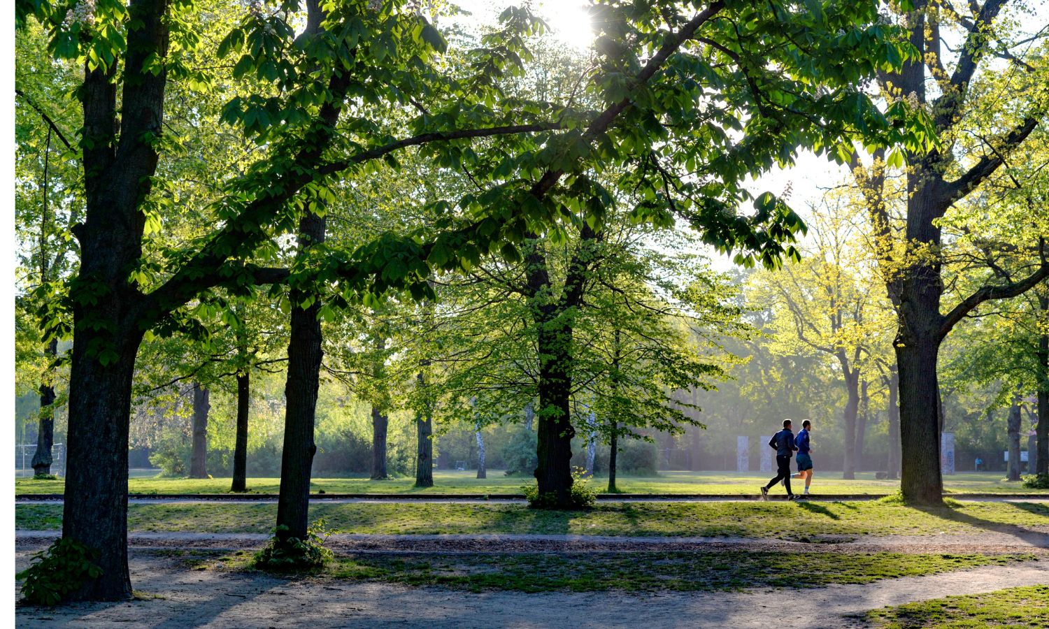 Parkrun 3