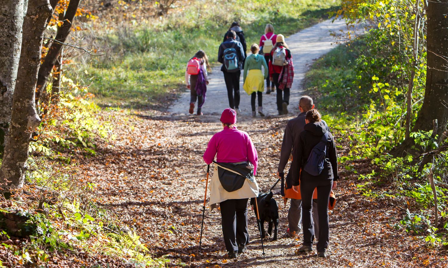 People walking with dog