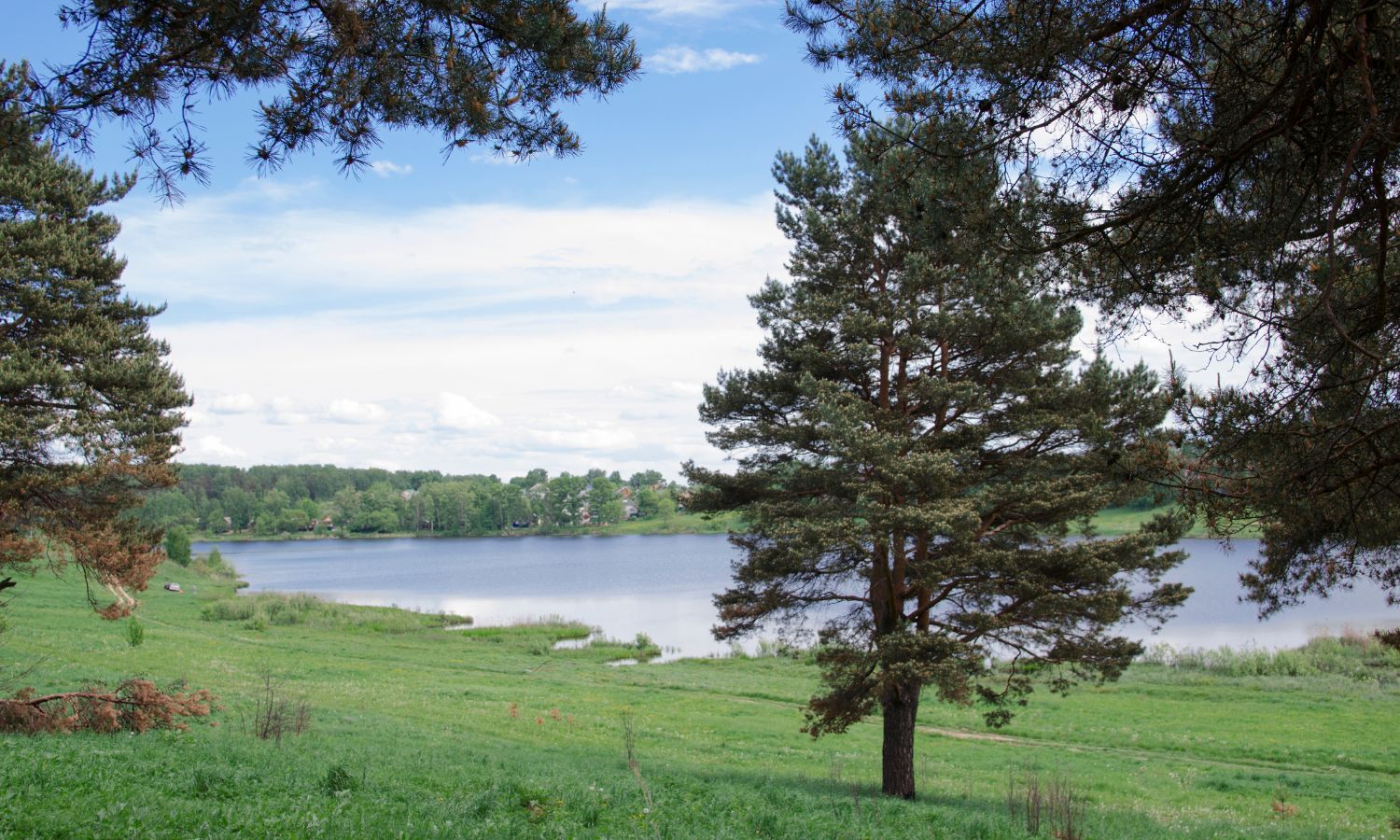 Side of a lake