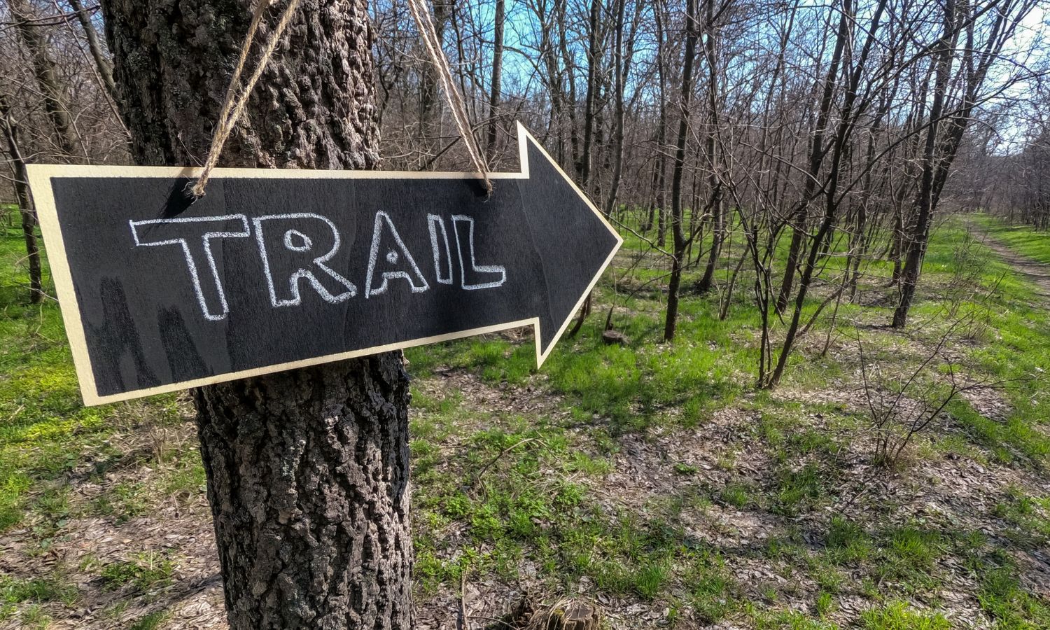 Trail