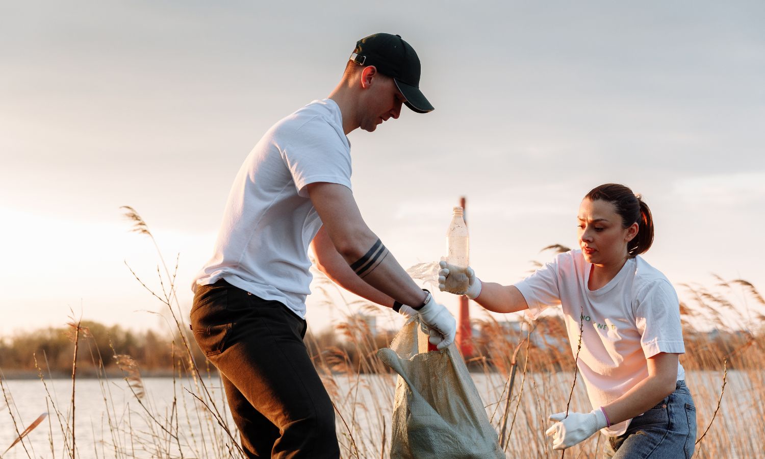 Volunteering in a field