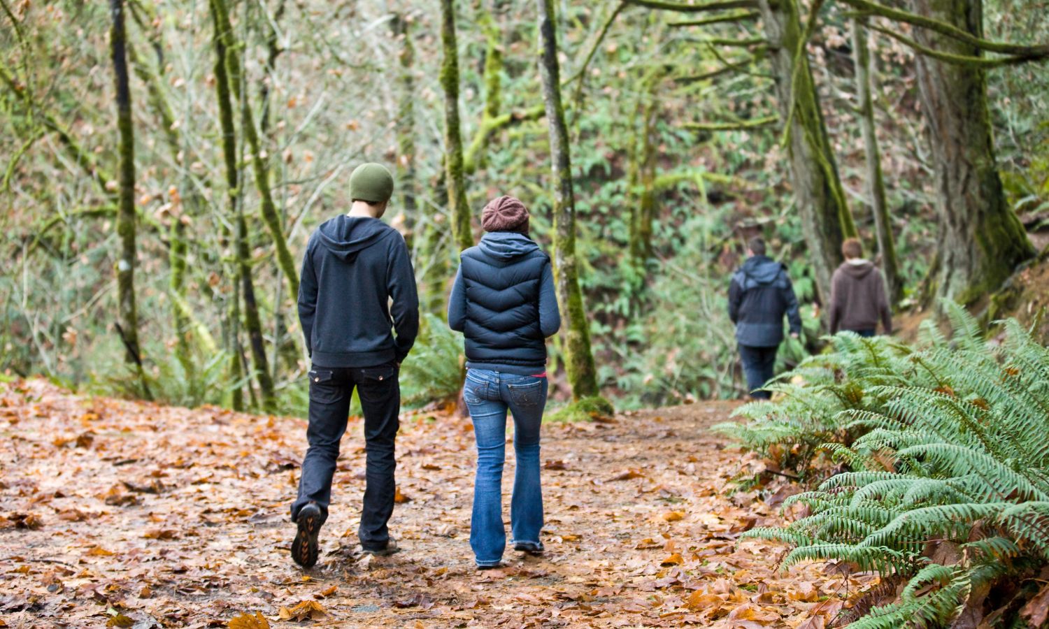 Walk in the woods