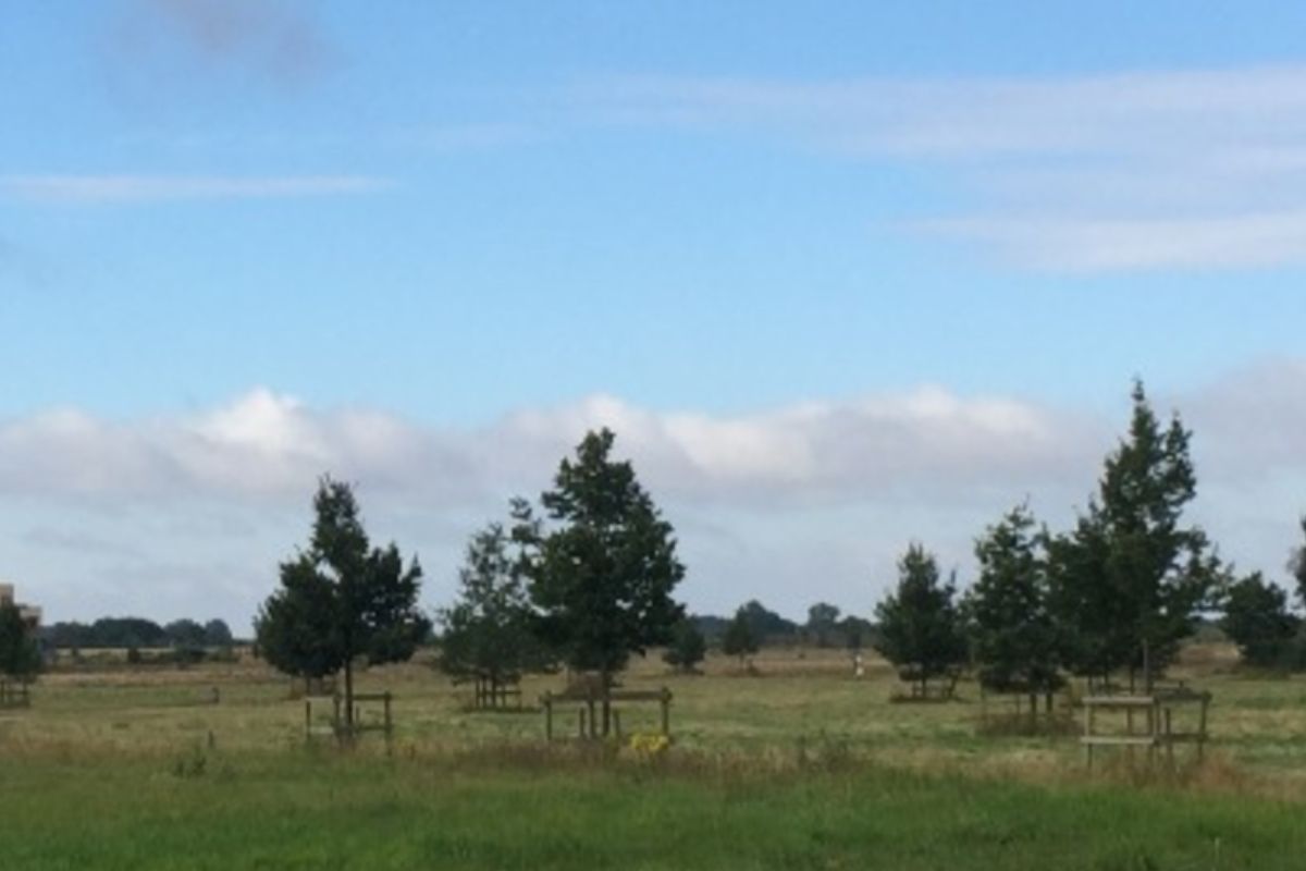 Trumpington Meadows