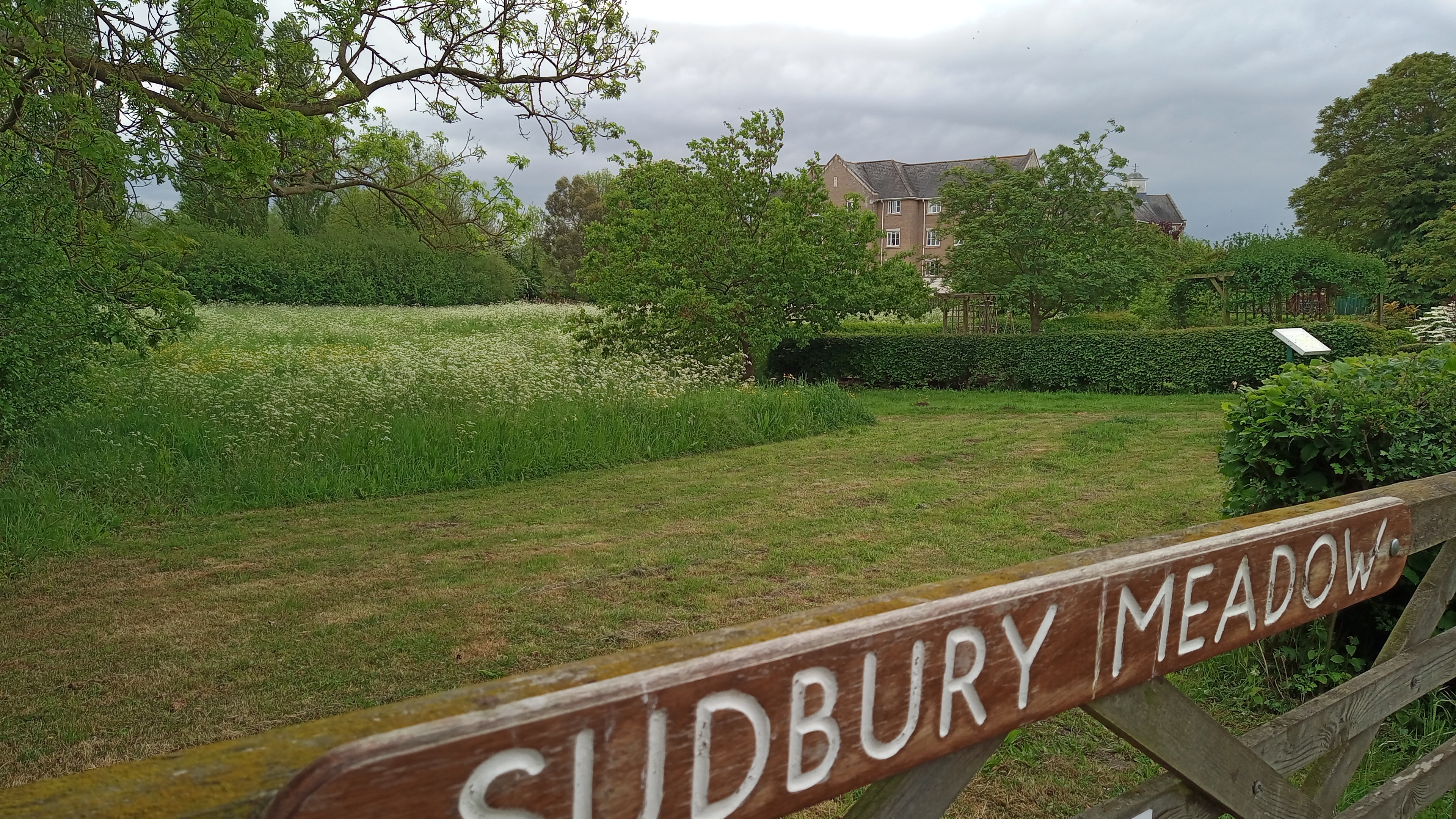 Sudbury Meadow
