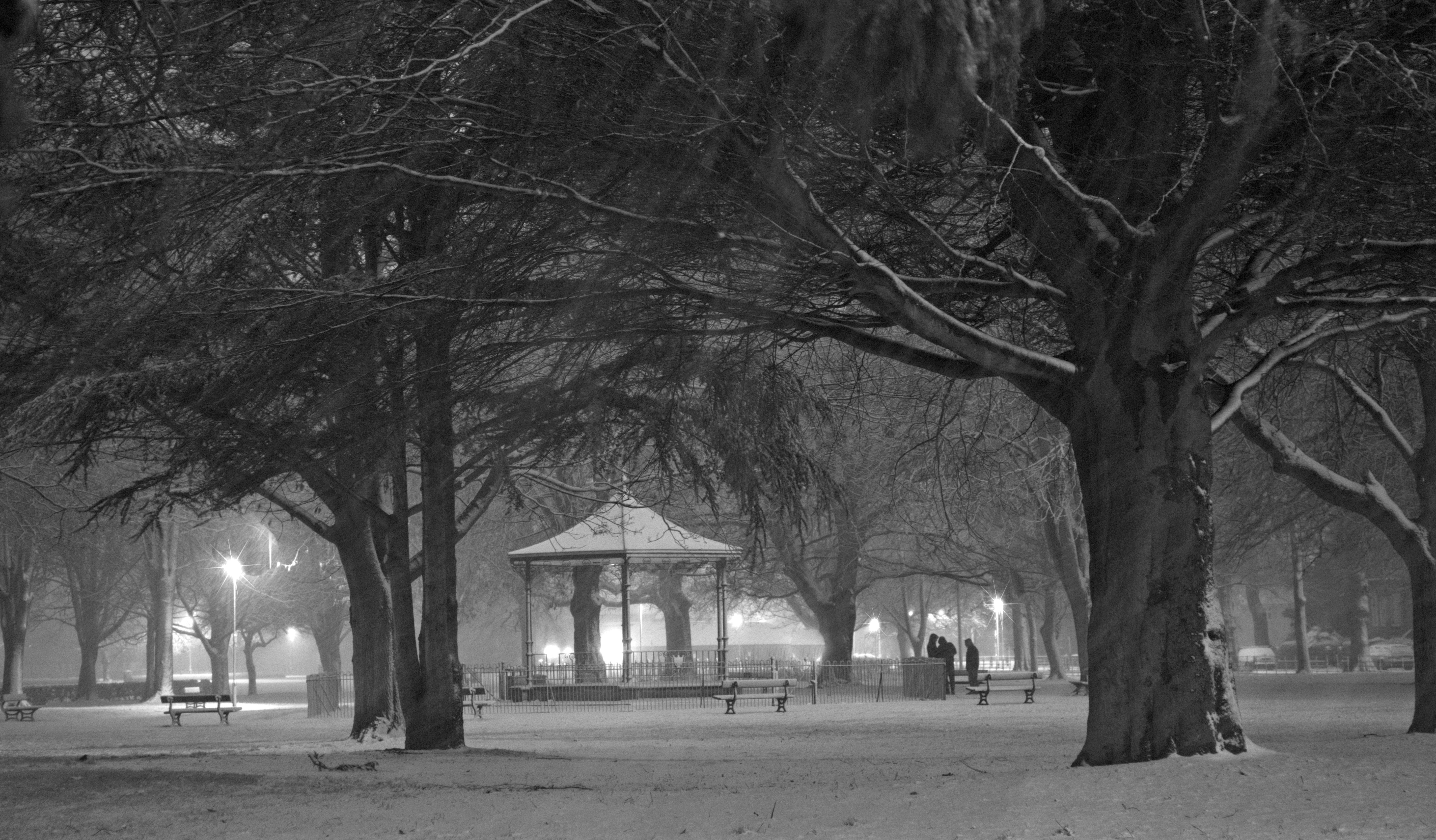 Wisbech park in the snow-001