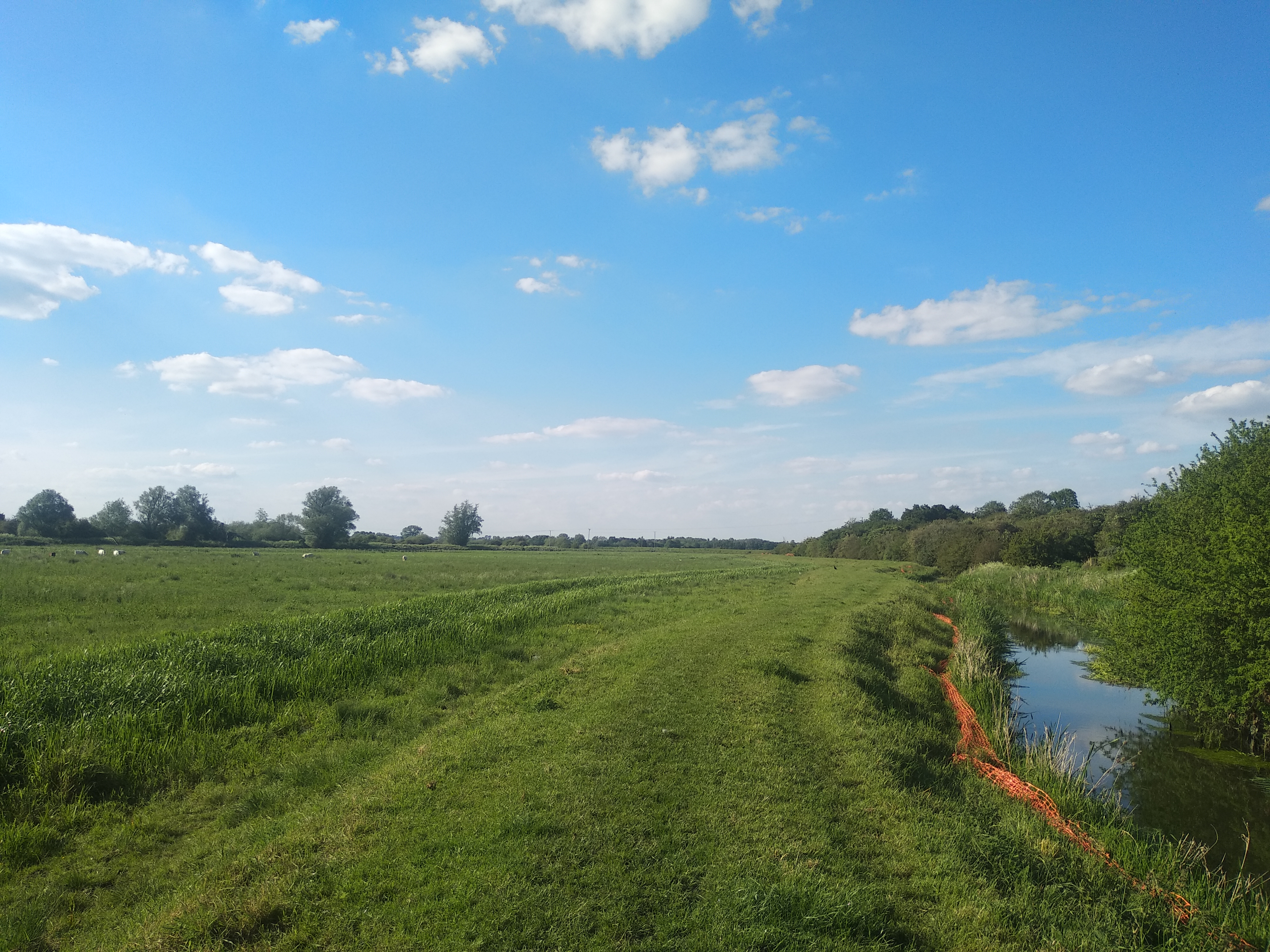 Large green space next to a river