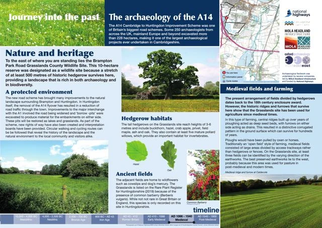 digital version of board